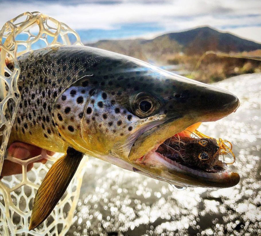 Click for more info on Hightrout Guide Service
